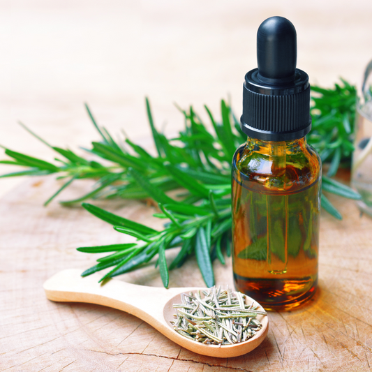 The Mystical Realm of Rosemary: More Than Just a Culinary Herb