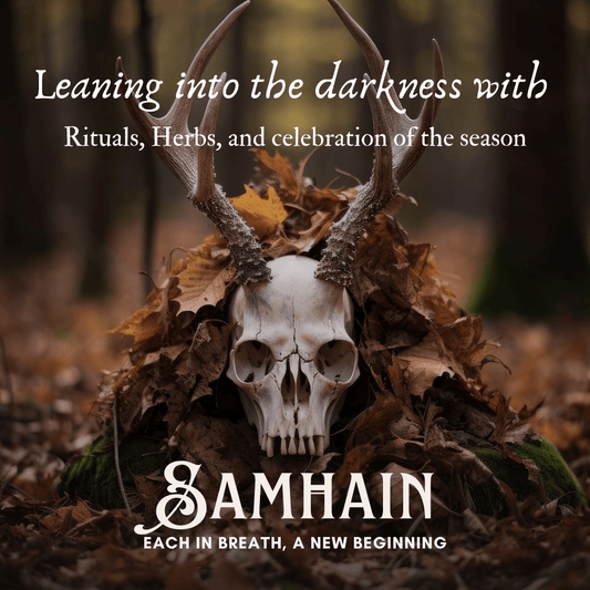 Honoring Ancestral Wisdom: A Samhain Celebration