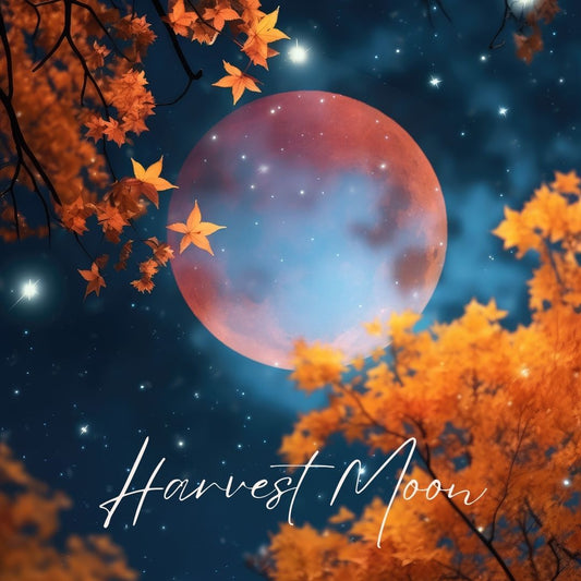 Full Supermoon in Pisces: Embracing the Unknown During Eclipse Season 🌕💫 - The Mystical Moon Online Store