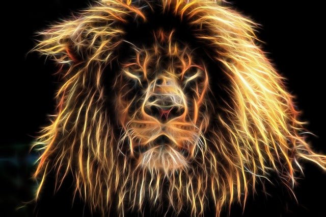 Light Code Activations with Lion's Gate on 8 - 8 - 19 - The Mystical Moon Online Store