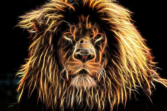 Light Code Activations with Lion's Gate on 8 - 8 - 19 - The Mystical Moon Online Store