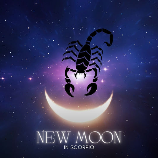 Sinking into the Scorpio New Moon - My Journey into the Shadow - The Mystical Moon Online Store