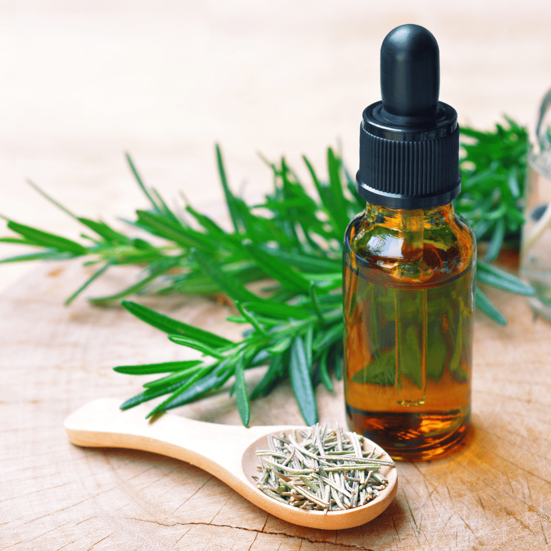 The Mystical Realm of Rosemary: More Than Just a Culinary Herb - The Mystical Moon Online Store