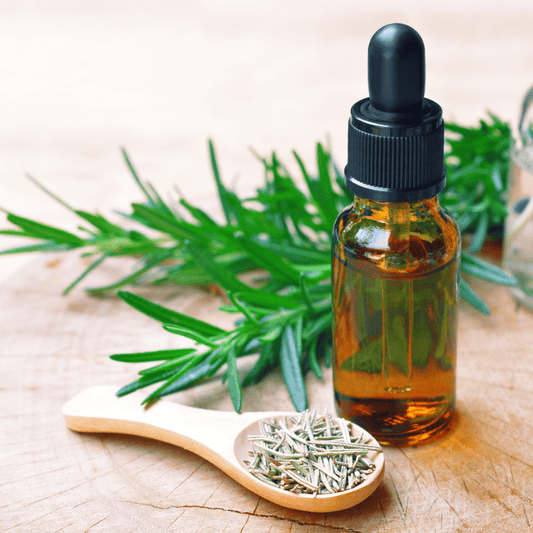 The Mystical Realm of Rosemary: More Than Just a Culinary Herb - The Mystical Moon Online Store