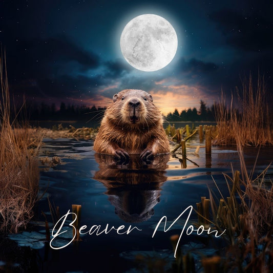 Under the Glow of the Curious Beaver Moon 🦫🌝 - The Mystical Moon Online Store