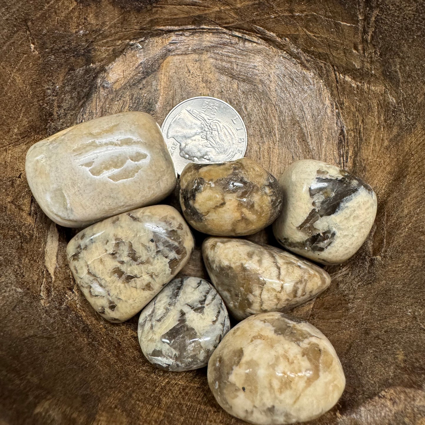 Collection of rocks on a wooden surface with a coin for scale