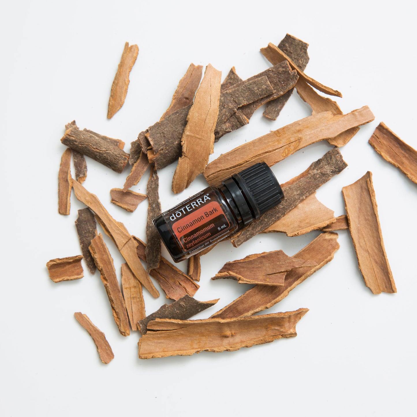 doTERRA Cinnamon essential oil bottle surrounded by cinnamon bark on a white background