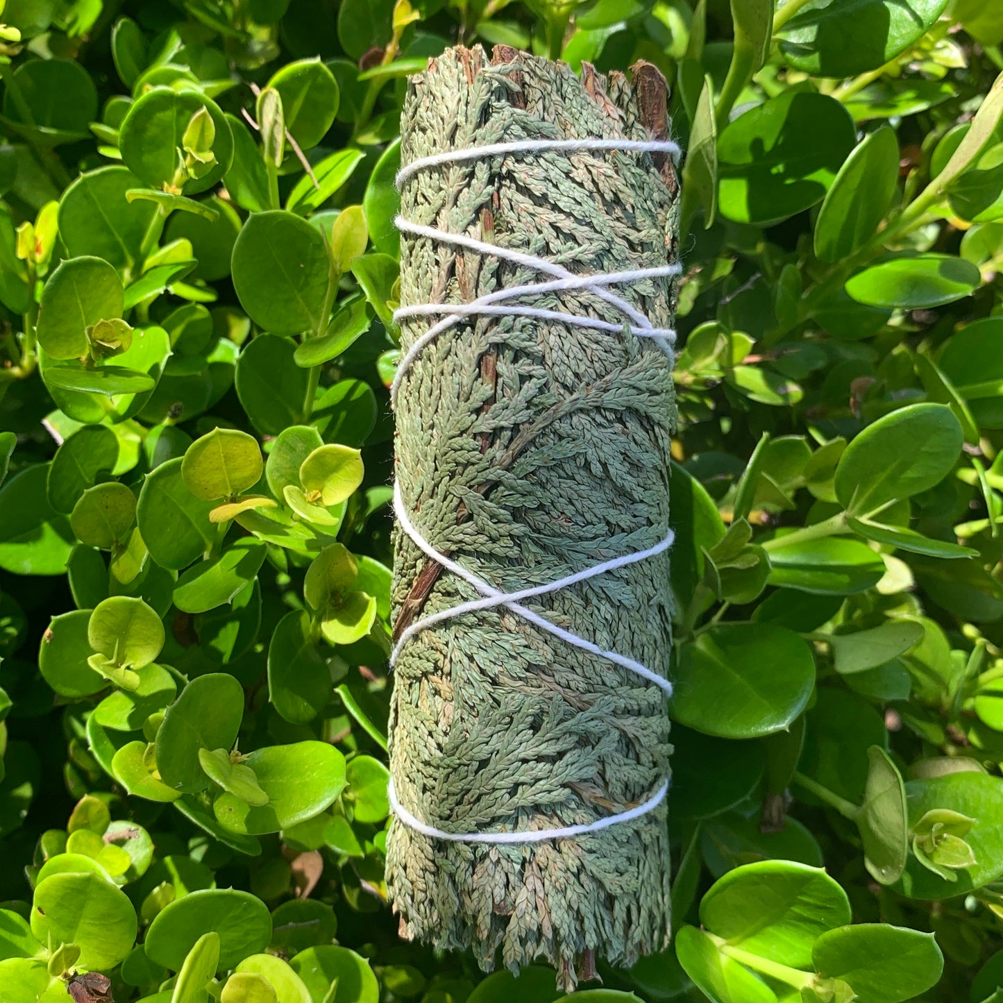 Cedar Smudge Stick