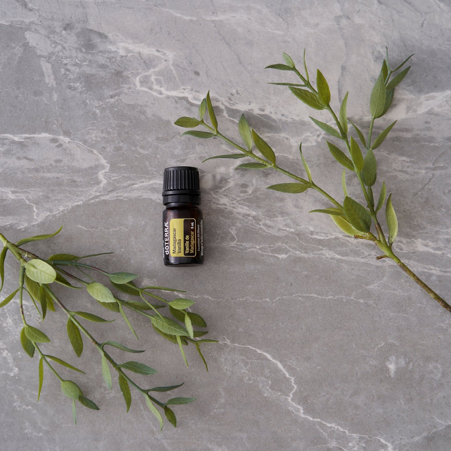 doTERRA Essential Oil bottle with green leaves on a gray marble surface