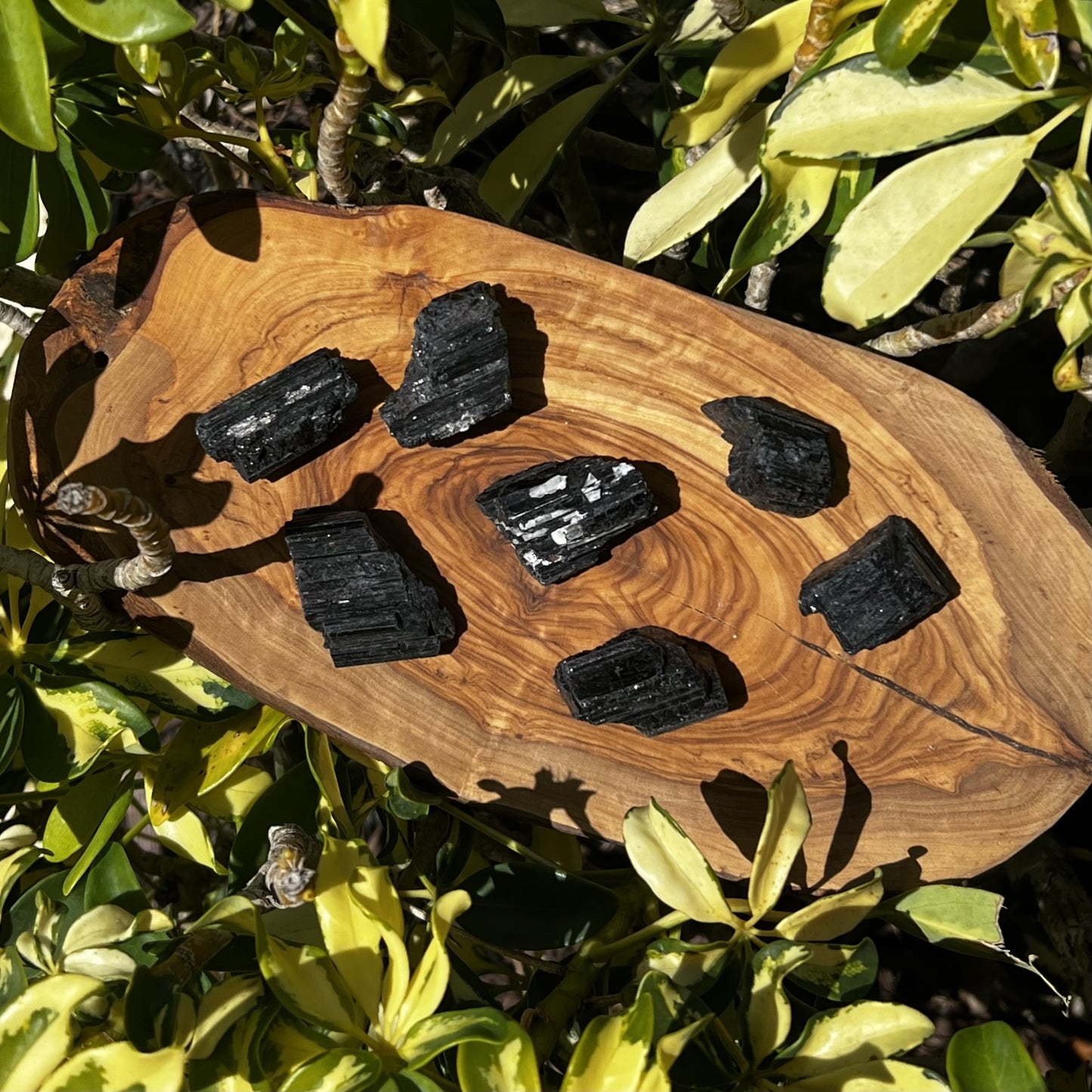 Black Tourmaline Raw Crystal