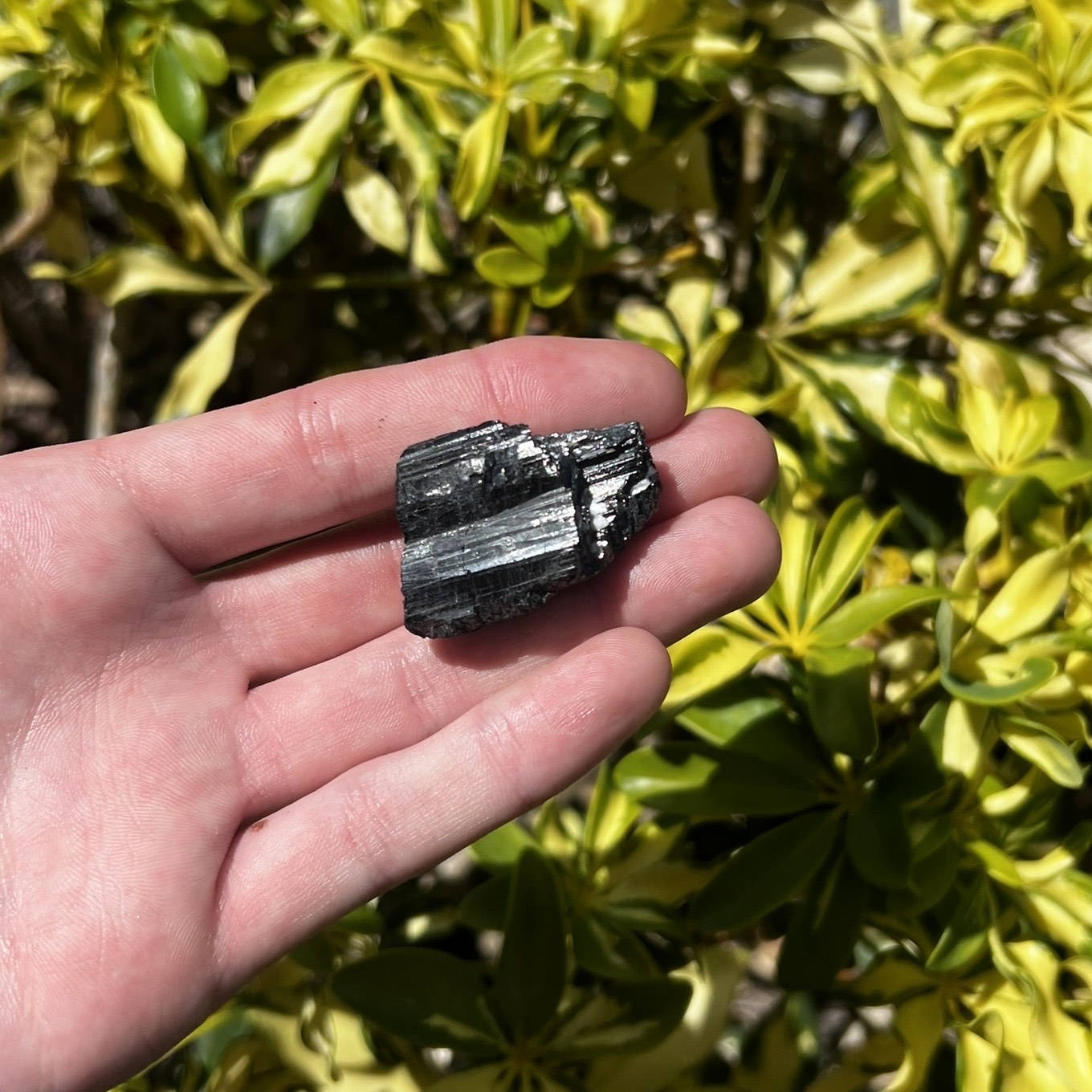 Black Tourmaline Raw Crystal
