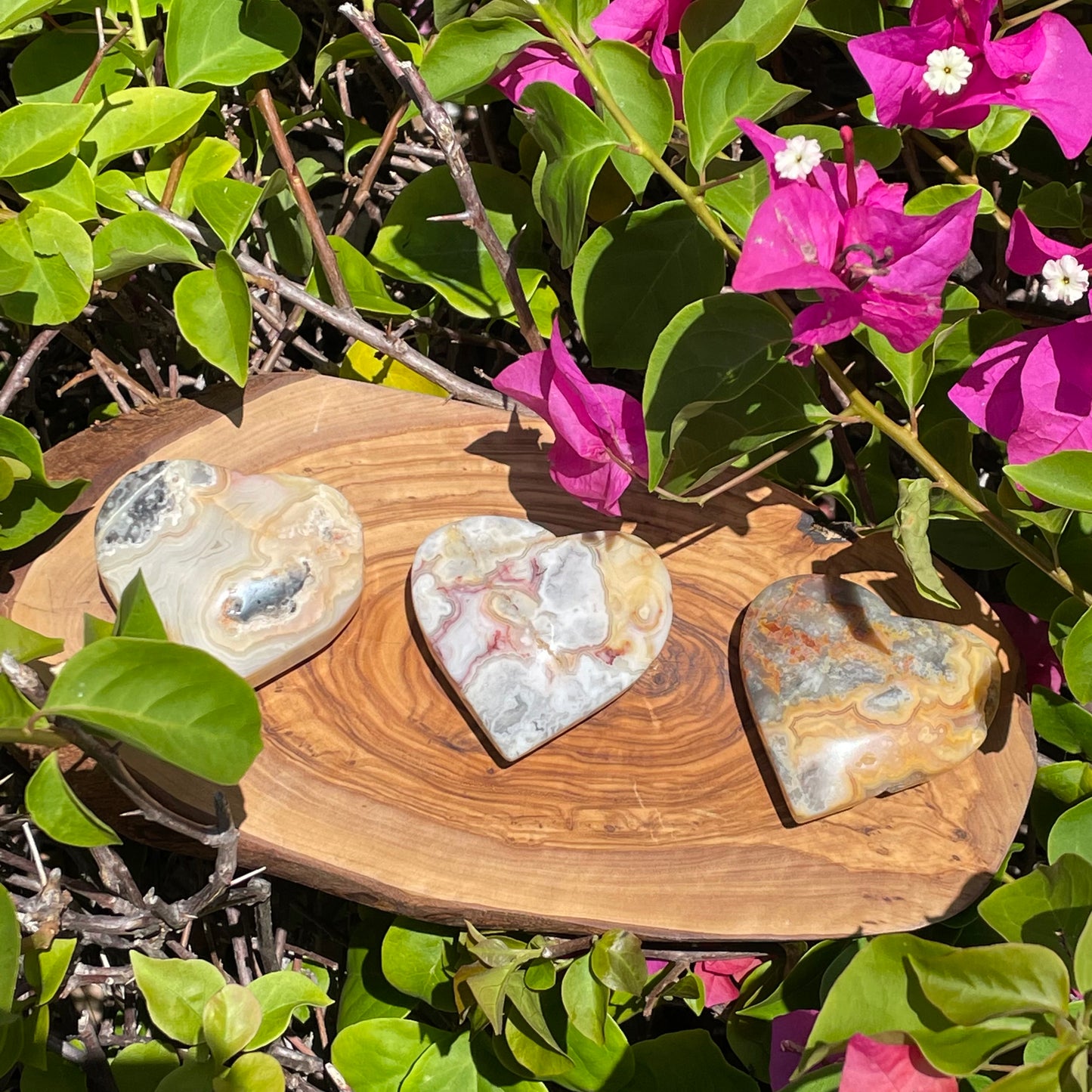 Large Crazy Lace Agate Heart