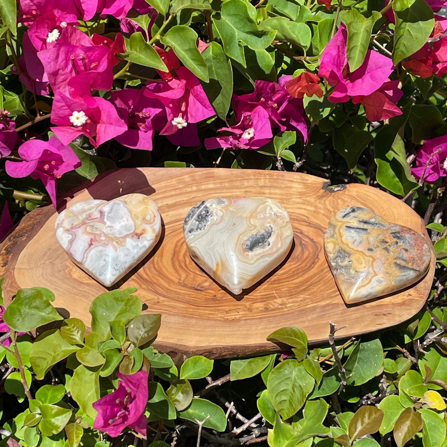 Large Crazy Lace Agate Heart