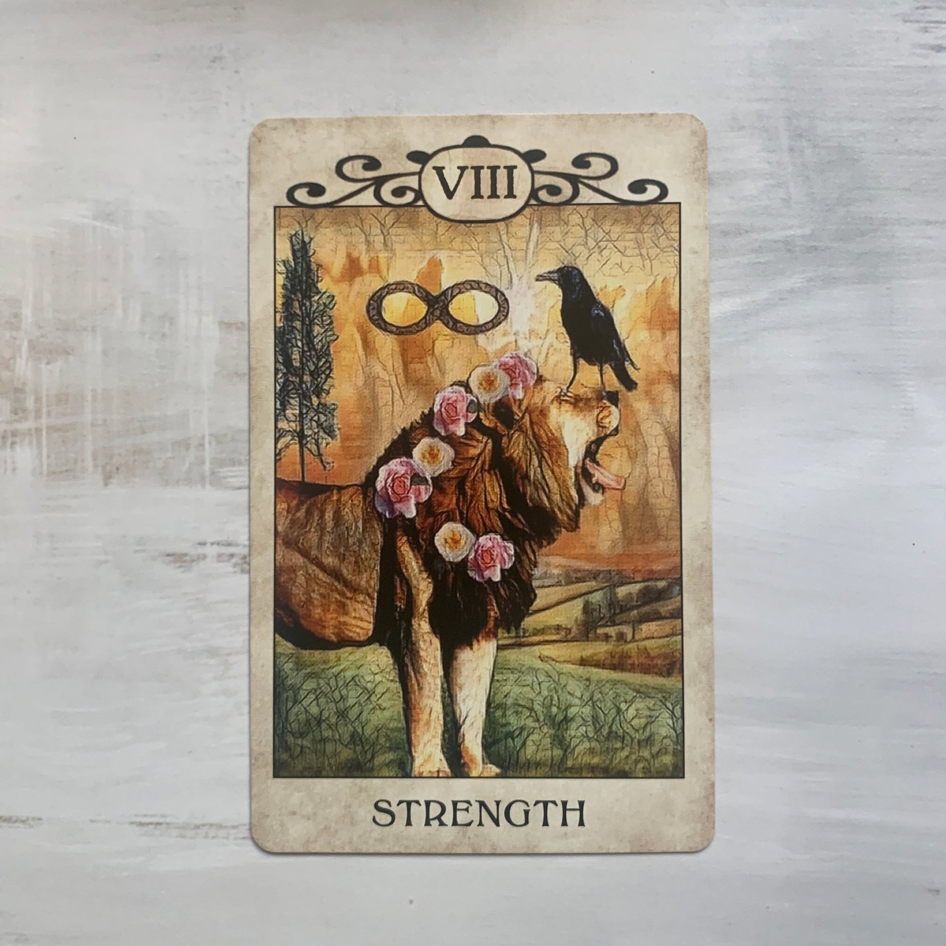 Crow Tarot by MJ Cullinane - The Mystical Moon Online Store