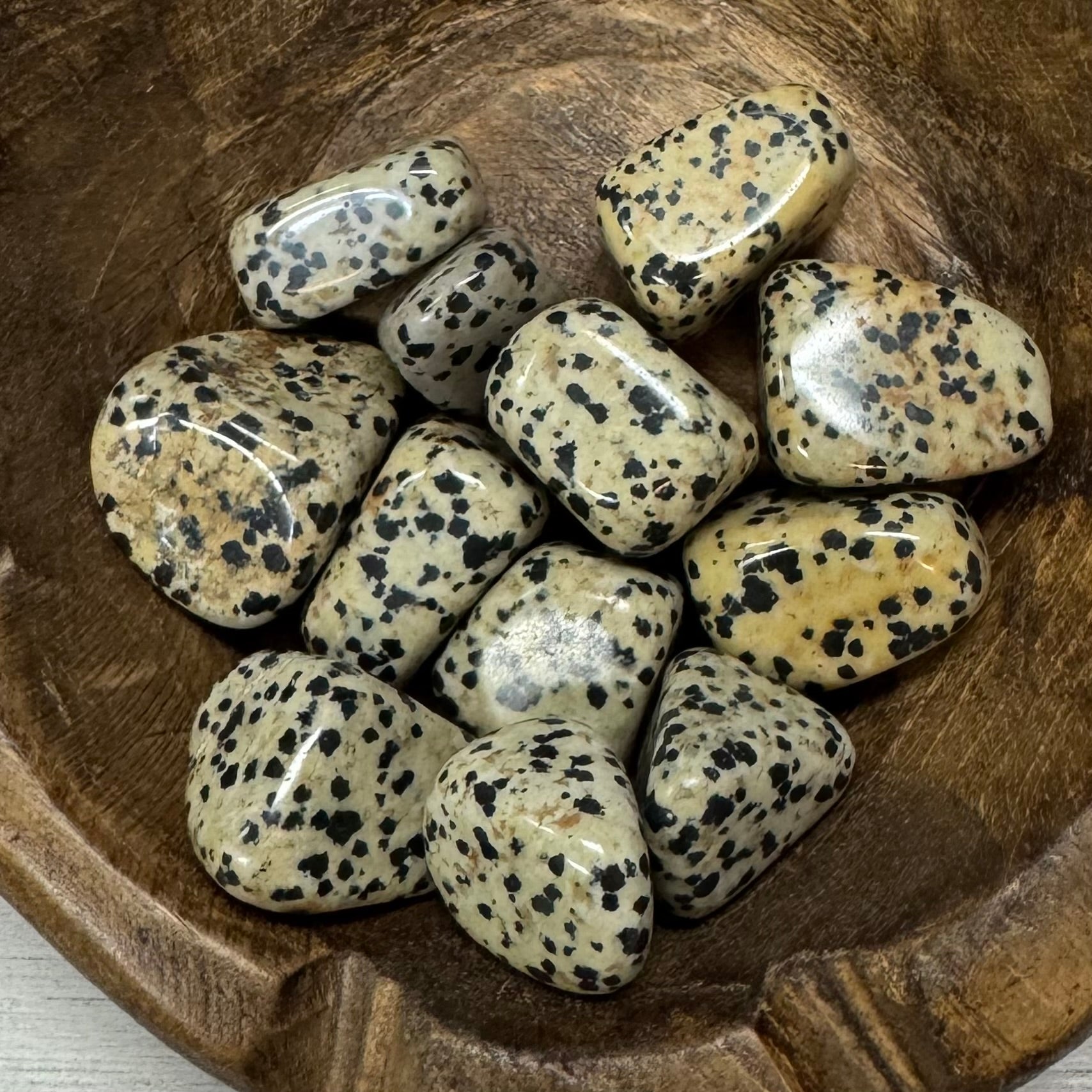 Dalmation Jasper Tumbled Crystal - The Mystical Moon Online Store