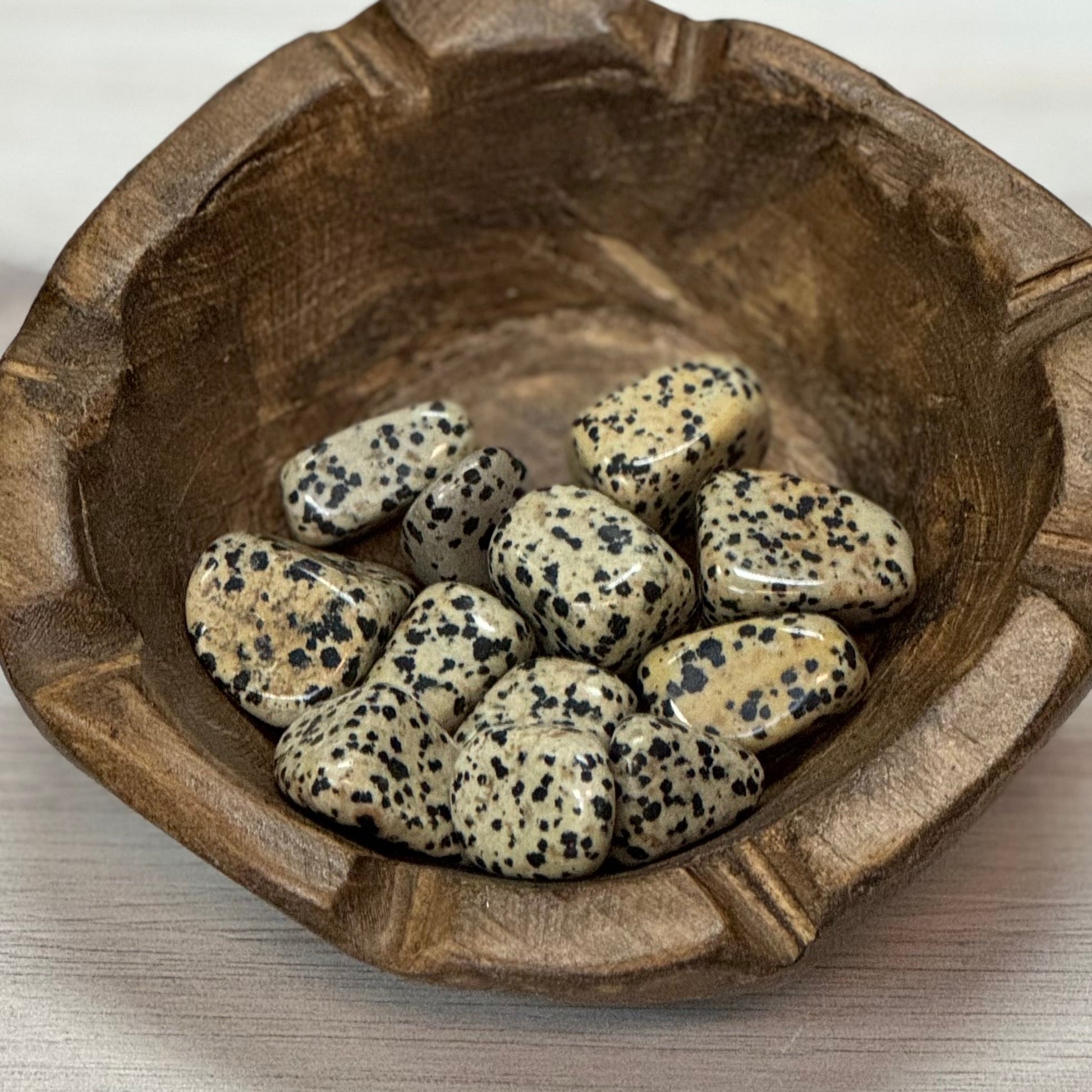 Dalmation Jasper Tumbled Crystal - The Mystical Moon Online Store