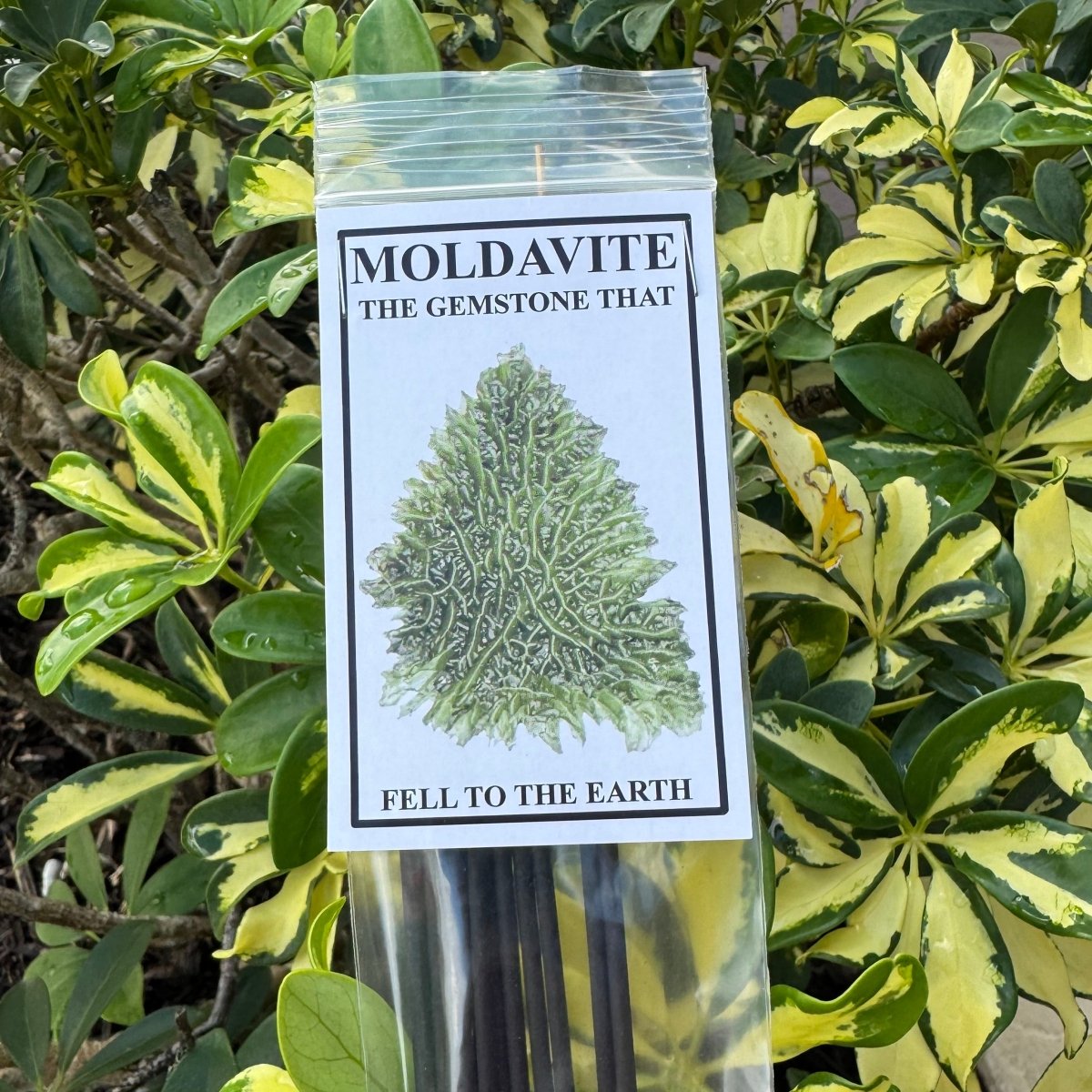 Moldavite packaging with a label in front of green foliage