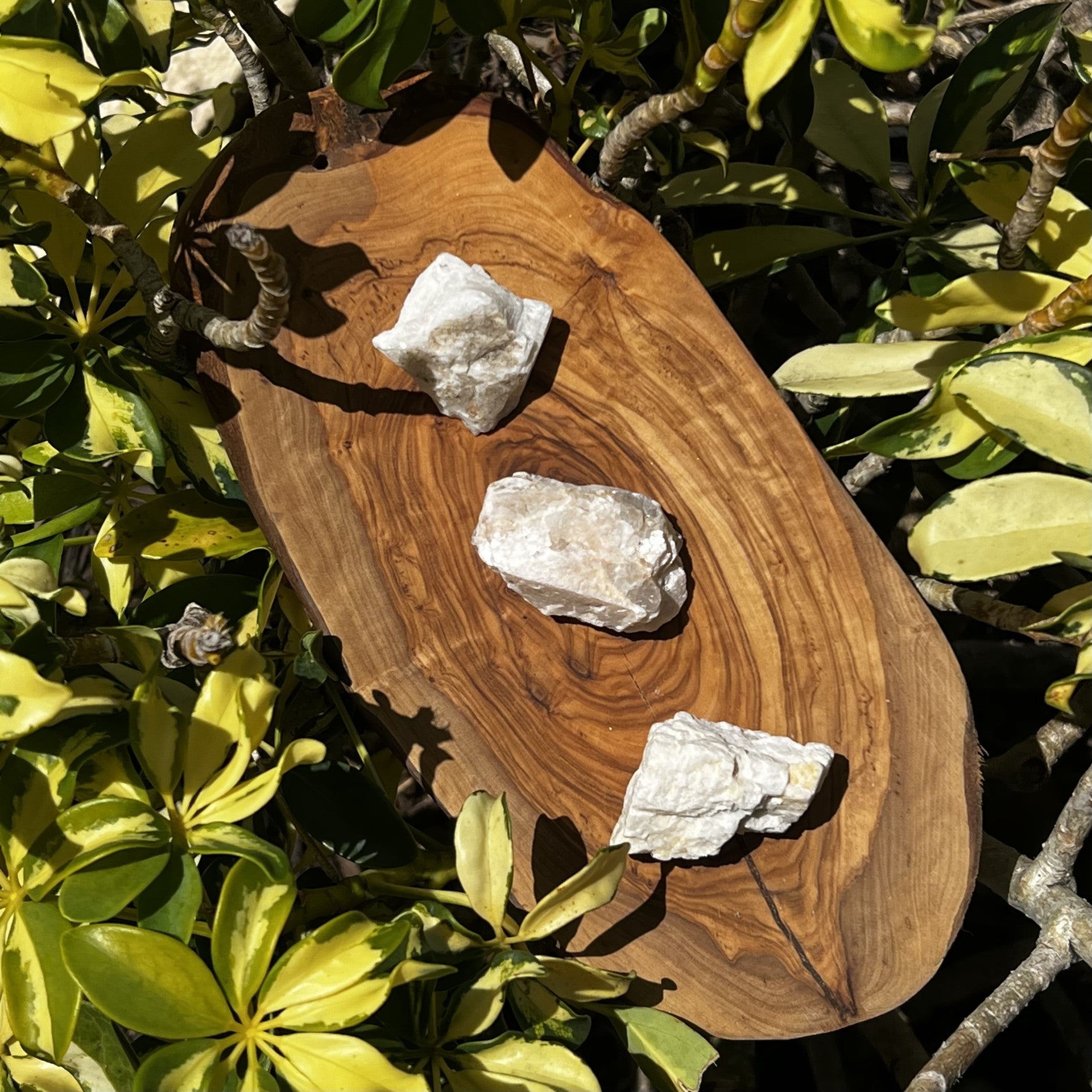 Moonstone Raw Crystal - The Mystical Moon Online Store