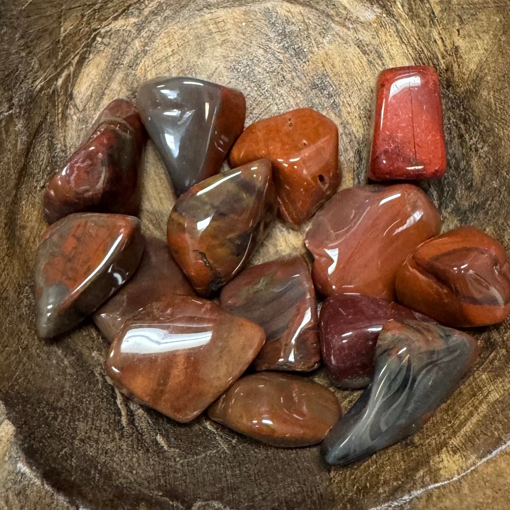 Petrified Wood Tumbled Crystal - The Mystical Moon Online Store