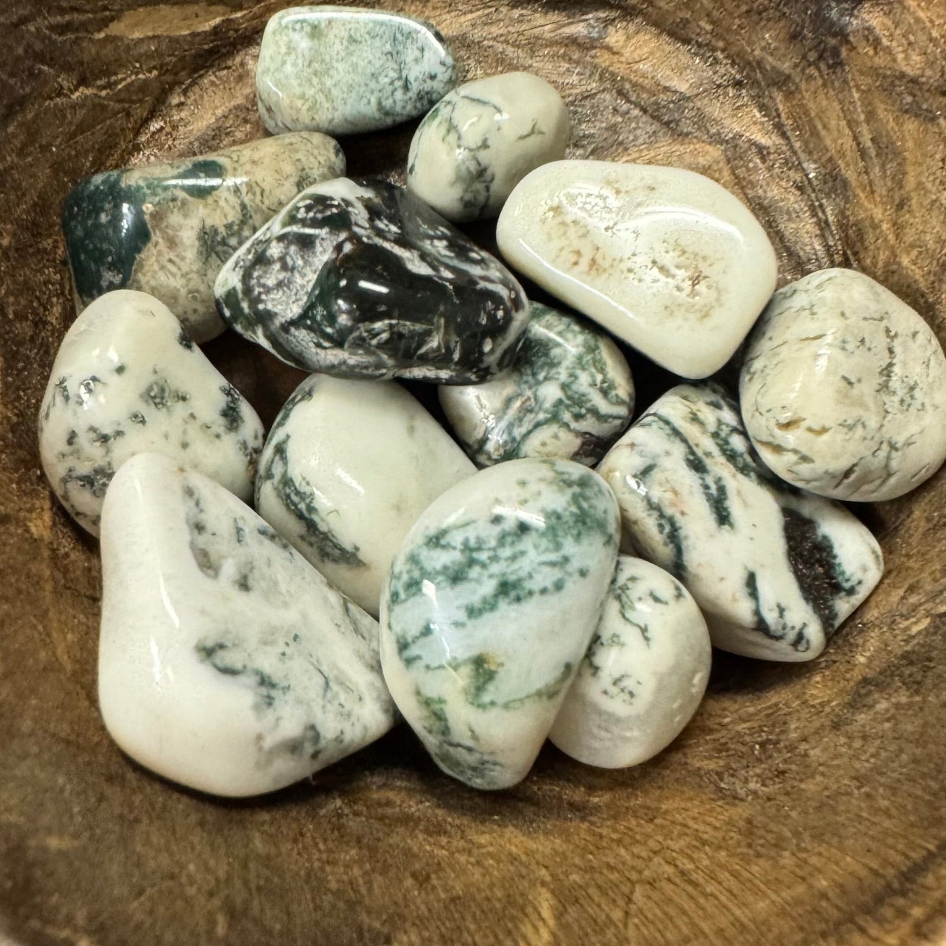 Tree Agate Tumbled Crystal - The Mystical Moon Online Store