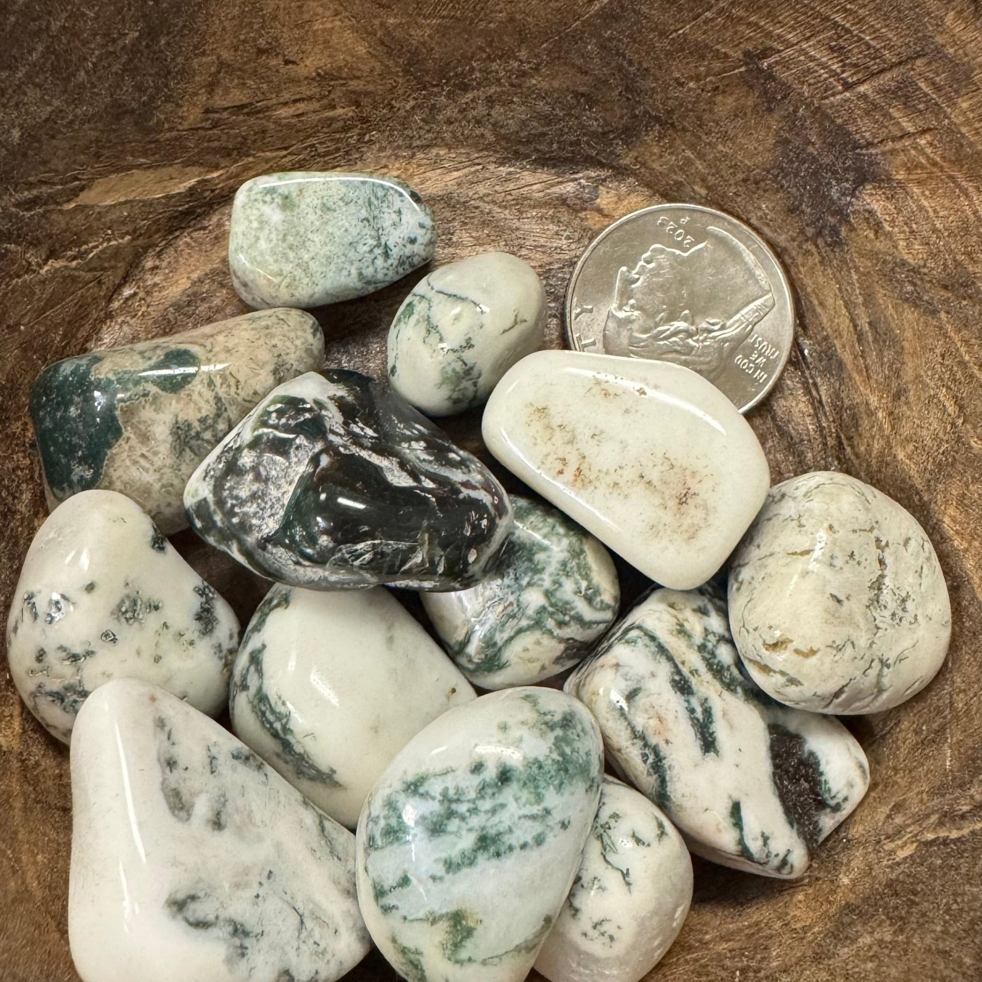 Tree Agate Tumbled Crystal - The Mystical Moon Online Store
