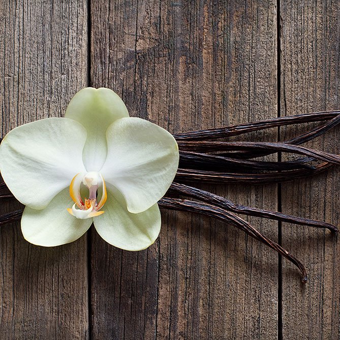 Vanilla Oil By Sun's Eye