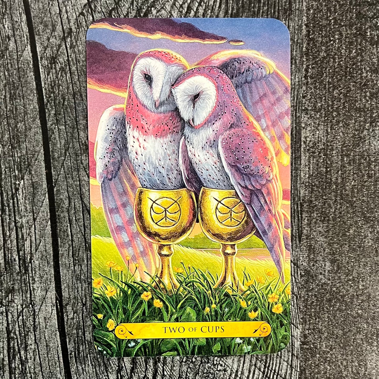 Tarot of The Owls
