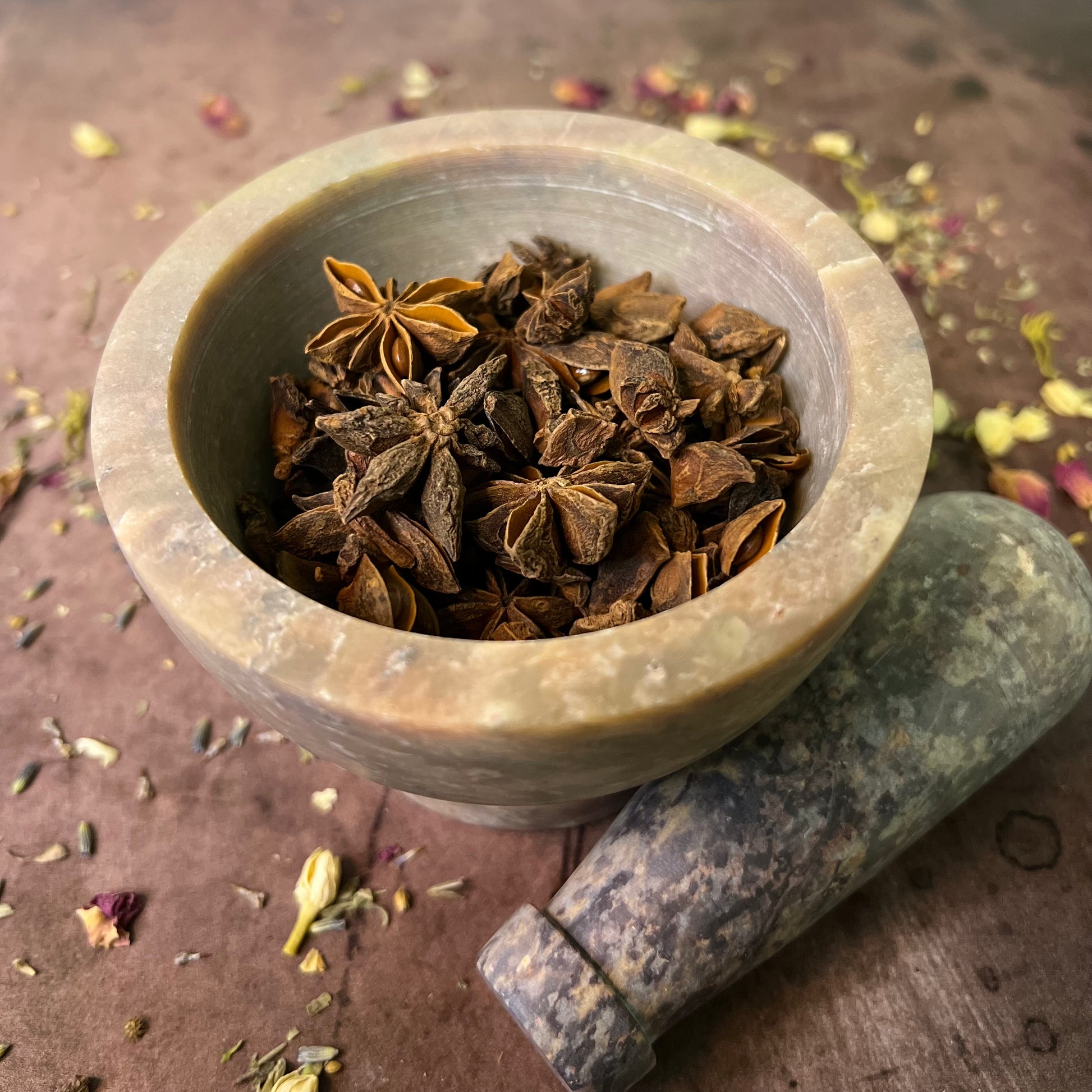 Anise Stars Herb