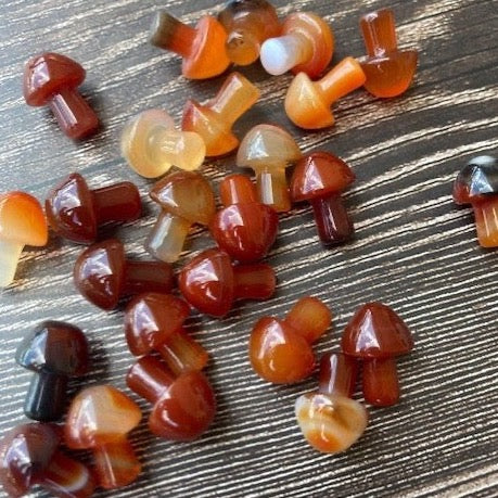 Carnelian Mushrooms