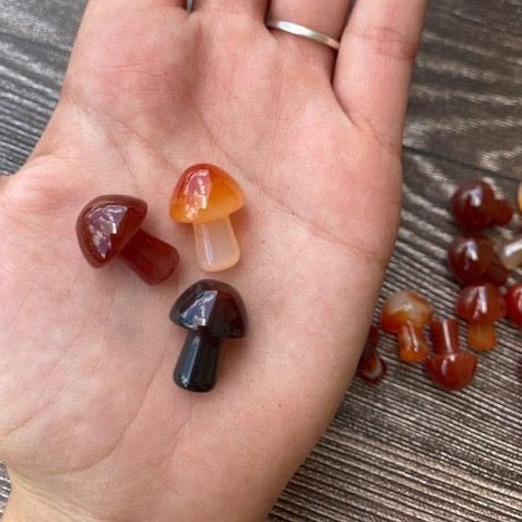 Carnelian Mushroom