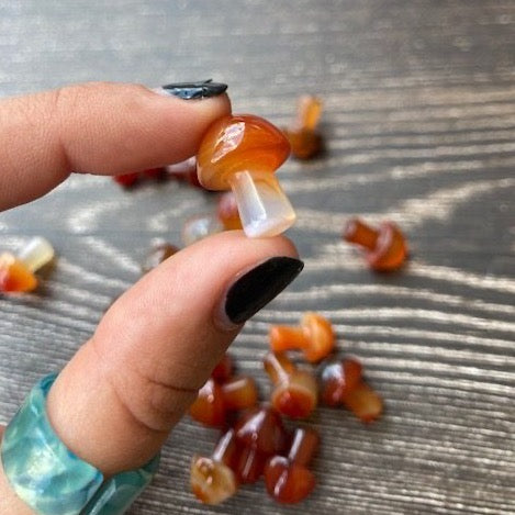 Carnelian Mushroom