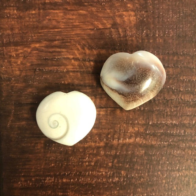 Shiva Eye Shell Heart