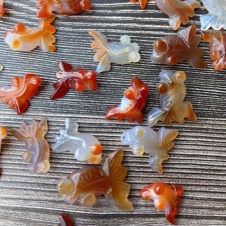 Carnelian Goldfish