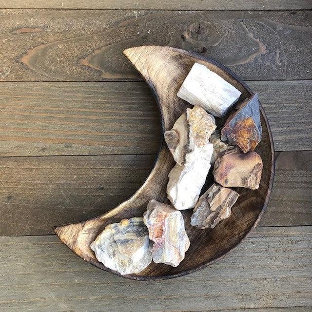 Petrified Wood Raw - The Mystical Moon Online Store