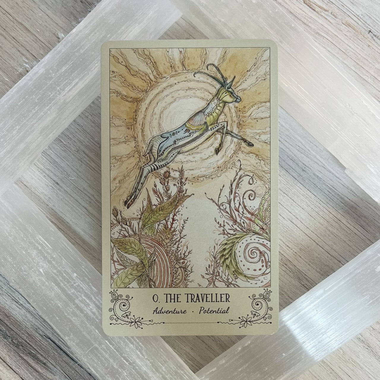 Spiritsong Tarot by Paulina Fae - Cassidy - The Mystical Moon Online Store