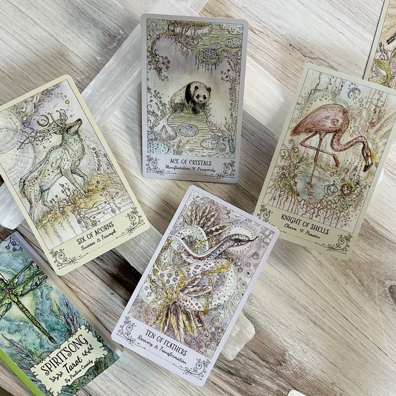 Spiritsong Tarot by Paulina Fae - Cassidy - The Mystical Moon Online Store