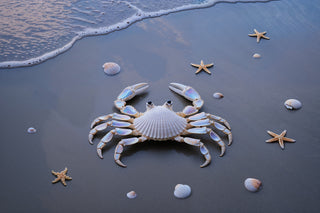 Cancer Season: A Time to Nurture the Soul and Come Home to Yourself - The Mystical Moon Online Store