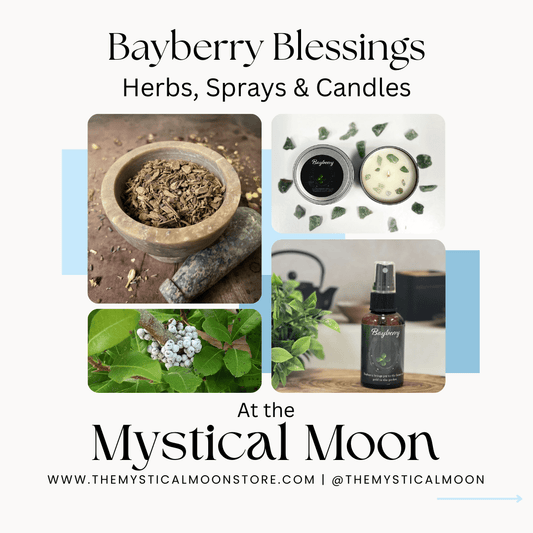 Ring in the New Year with Bayberry: A Tradition of Prosperity and Harmony - The Mystical Moon Online Store