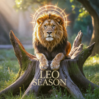 Shine Bright: Crystals, Herbs & Rituals for Leo Season - The Mystical Moon Online Store