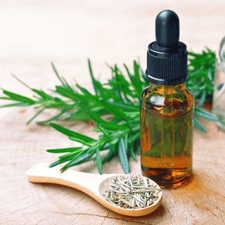 Fresh rosemary sprigs surrounded by mystical elements, representing the herb's spiritual and magical properties