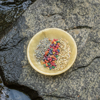 Herbs - The Mystical Moon Online Store