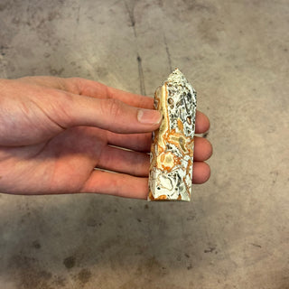 Hand holding a small, intricately patterned stone against a concrete background