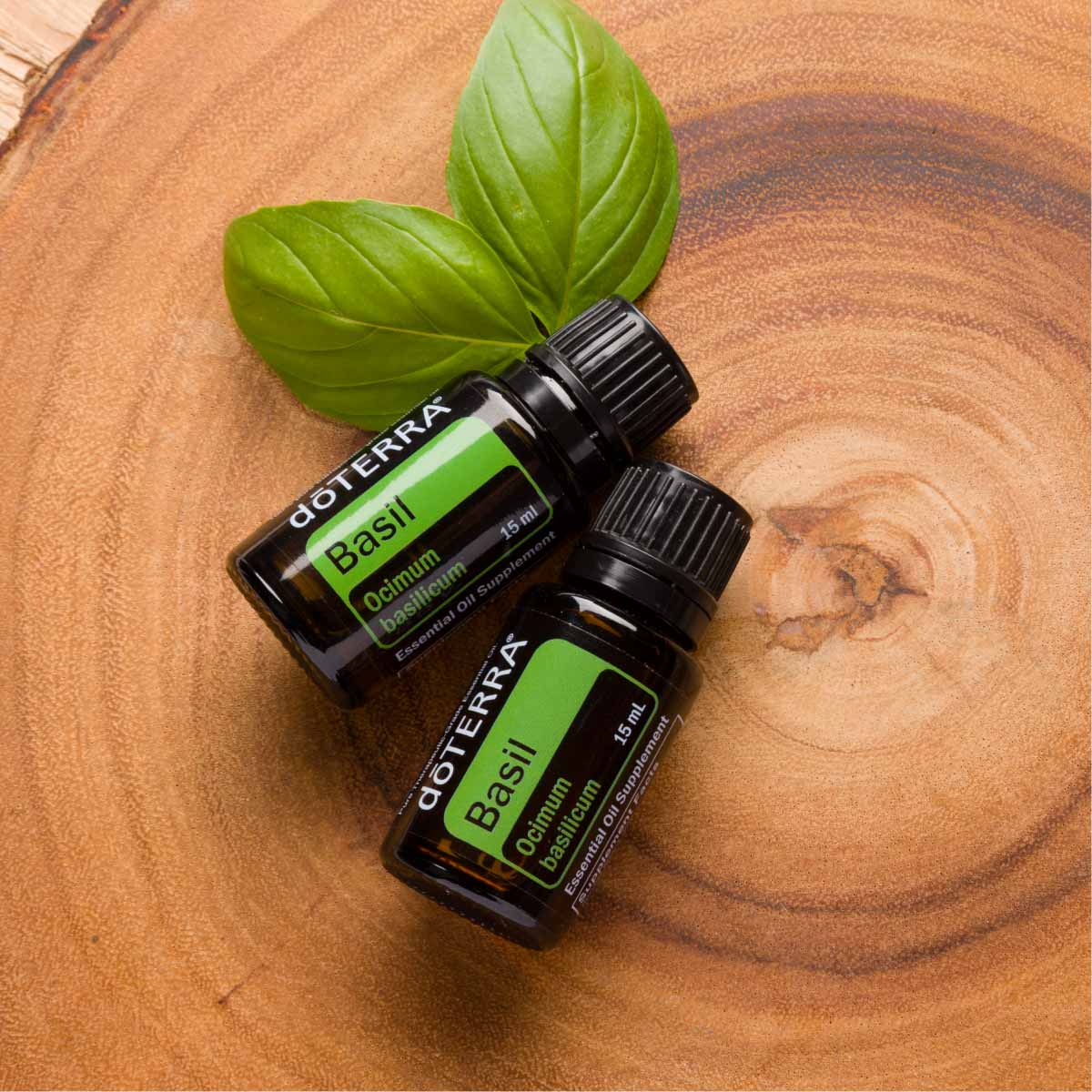 Basil Essential Oil