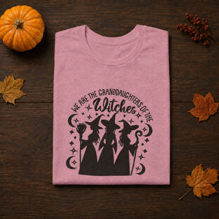 Witches You Couldn't Burn T-Shirt