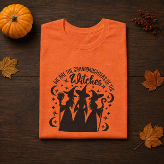 Witches You Couldn't Burn T-Shirt