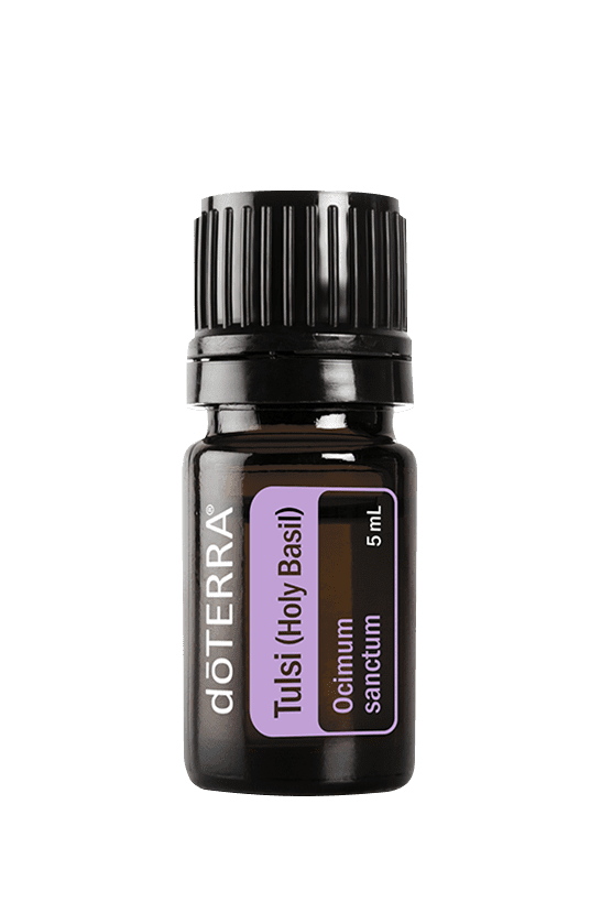 doTERRA Tulsi Holy Basil Essential Oil 5 ML