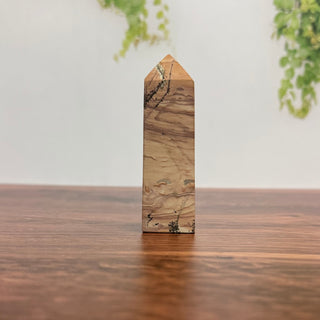 Picture Jasper obelisk tower point with natural brown and tan landscape patterns