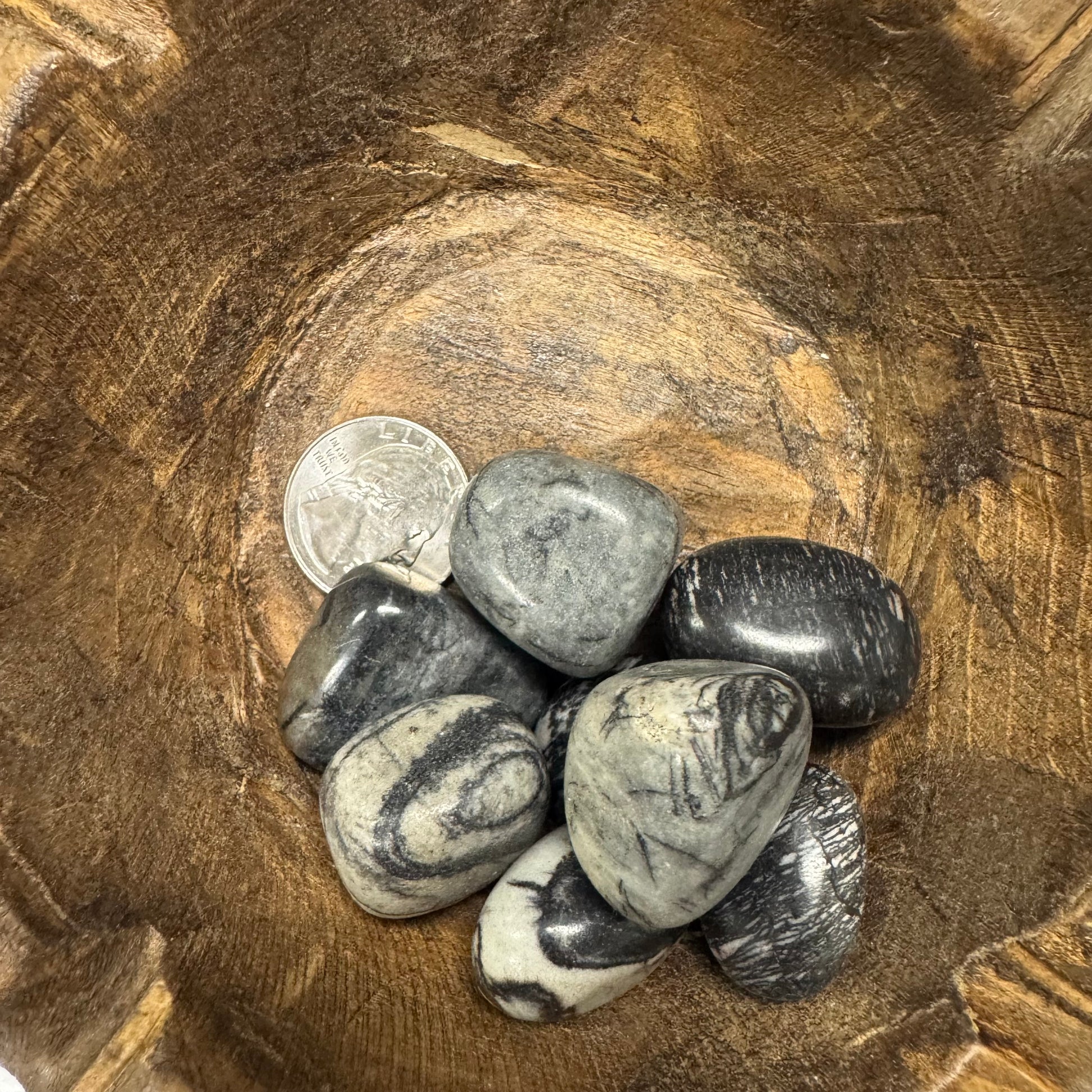 Collection of rocks on a wooden surface with a coin for scale
