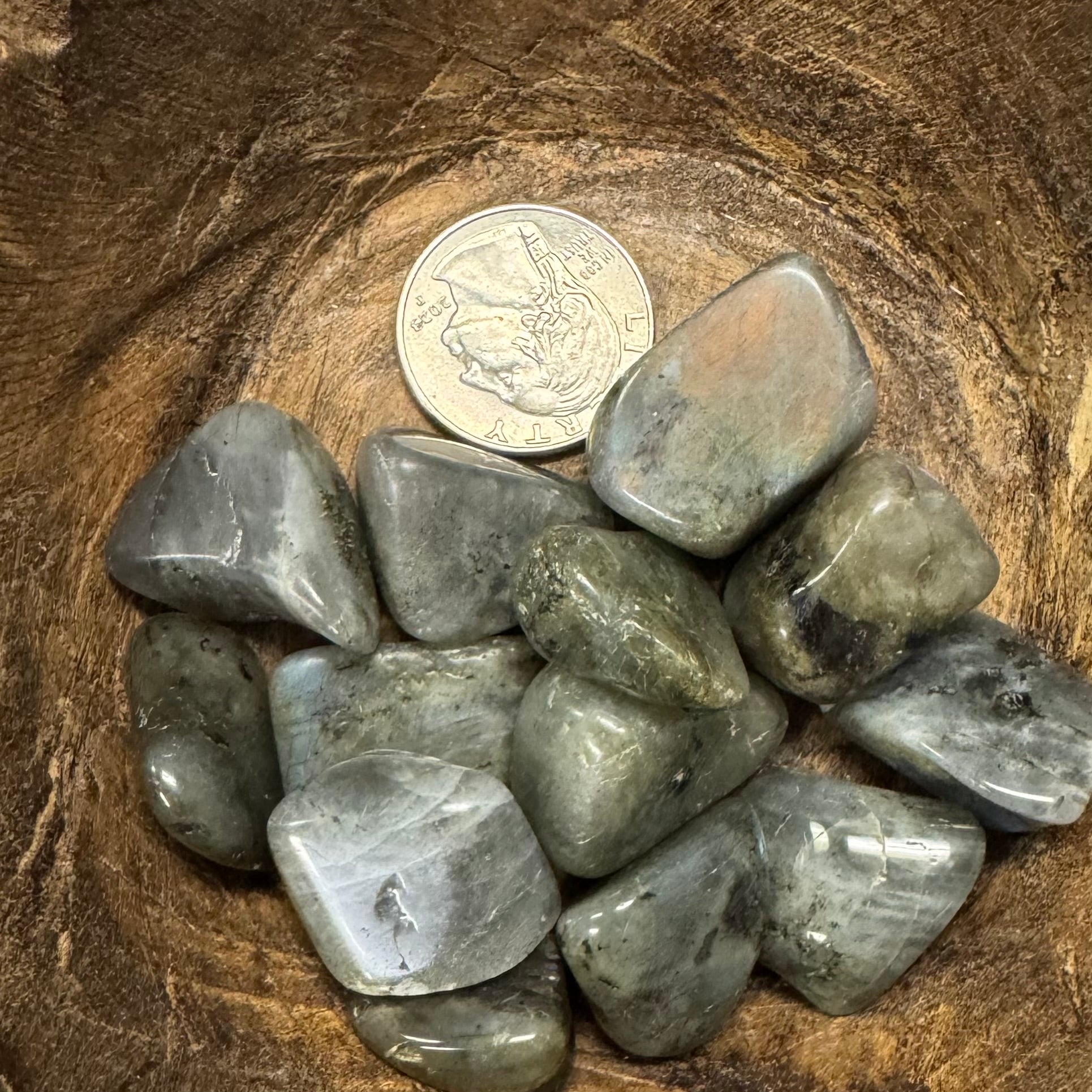 Collection of gray stones on a wooden surface with a coin for scale.