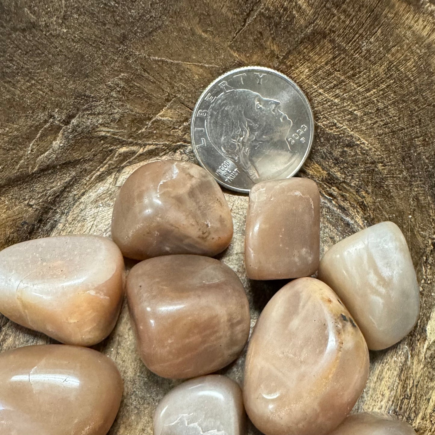 Collection of smooth stones on a wooden surface with a quarter for scale.